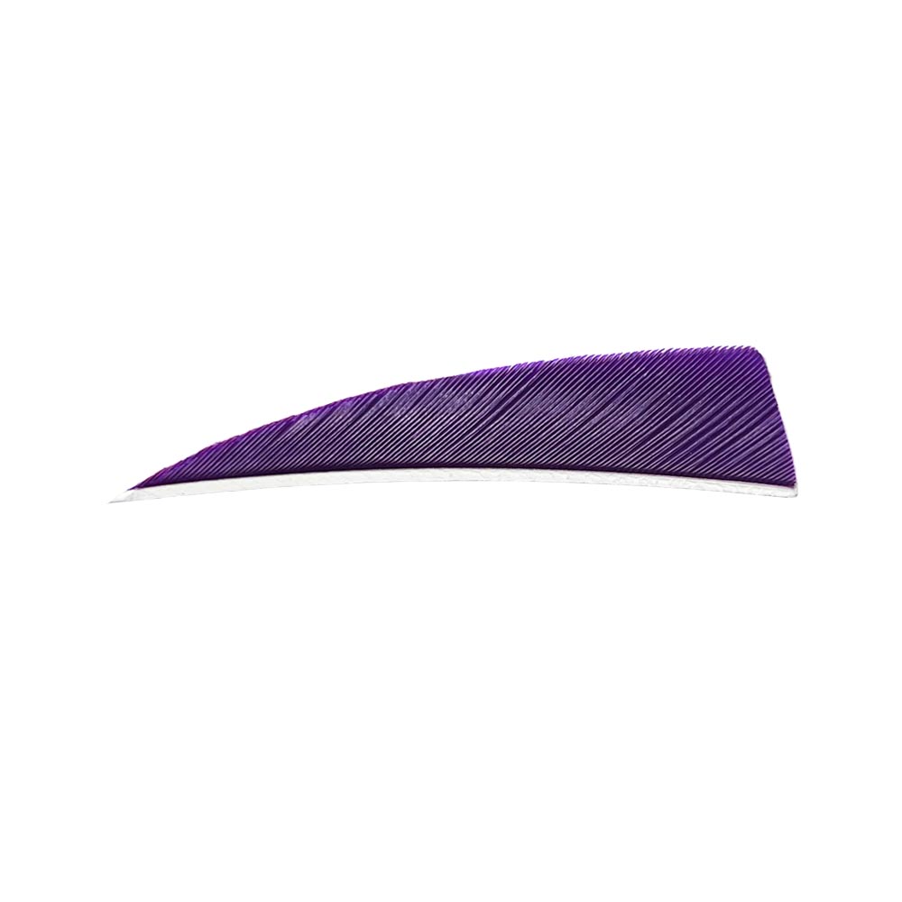 Farbe: Purple