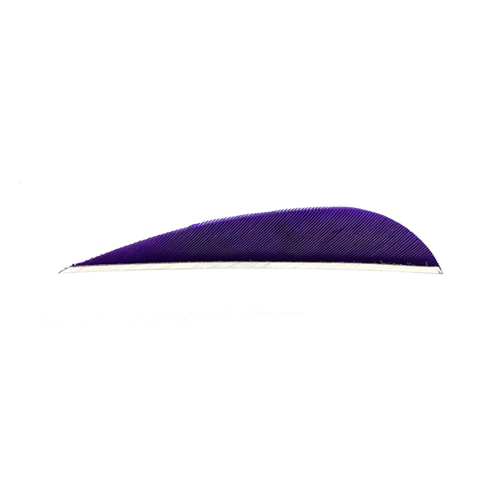 Farbe: Purple