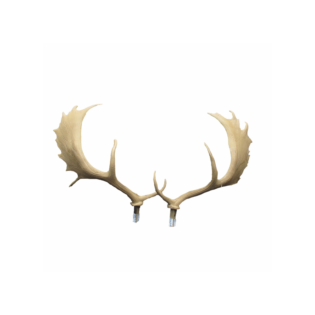 SRT Targets Deer Antler