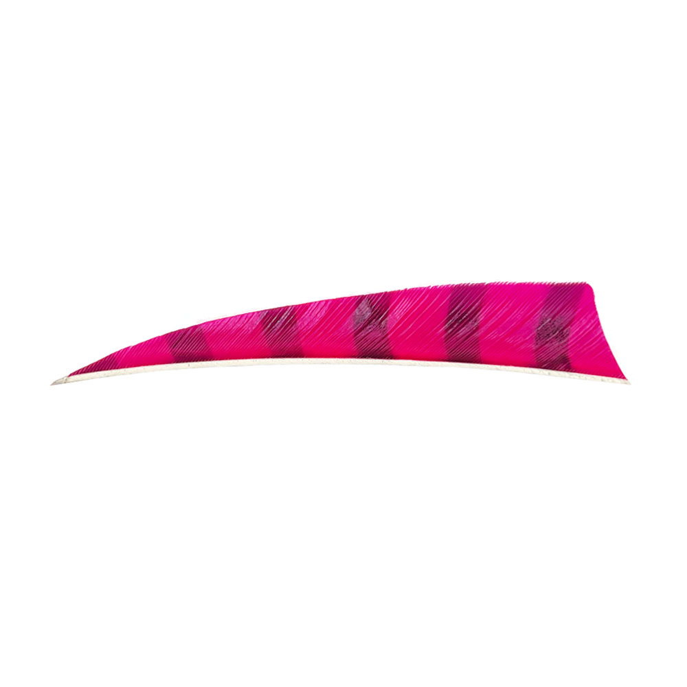 Farbe: Fluor Pink/Black