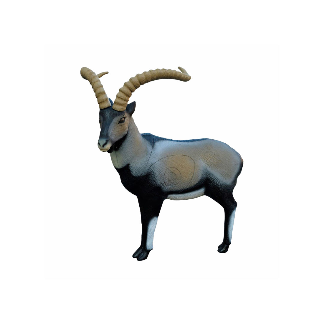 SRT Ziel Iberian Ibex